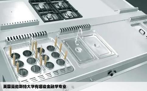 英国曼彻斯特大学有哪些金融学专业