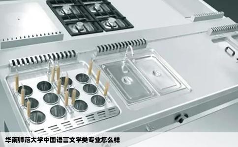华南师范大学中国语言文学类专业怎么样