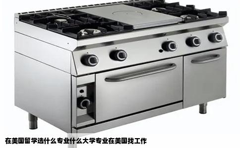 在美国留学选什么专业什么大学专业在美国找工作