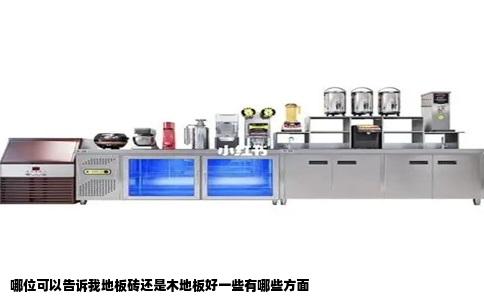哪位可以告诉我地板砖还是木地板好一些有哪些方面