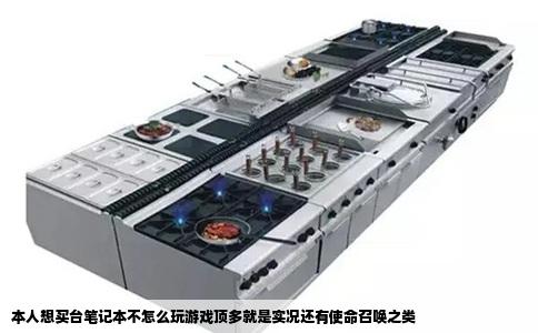 本人想买台笔记本不怎么玩游戏顶多就是实况还有使命召唤之类
