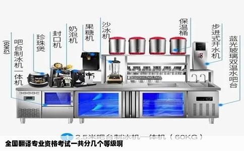 全国翻译专业资格考试一共分几个等级啊