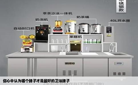 你心中认为哪个牌子才是最好的卫浴牌子
