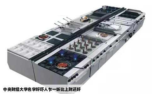 中央财经大学名字好吓人乍一听比上财还好
