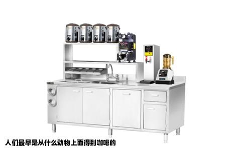 人们最早是从什么动物上面得到咖啡的