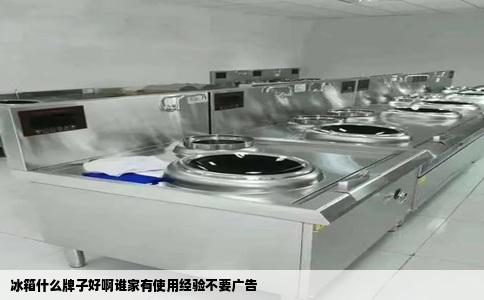 冰箱什么牌子好啊谁家有使用经验不要广告