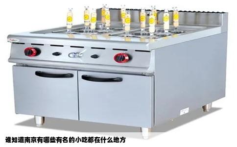 谁知道南京有哪些有名的小吃都在什么地方