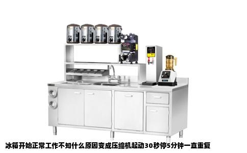冰箱开始正常工作不知什么原因变成压缩机起动30秒停5分钟一直重复