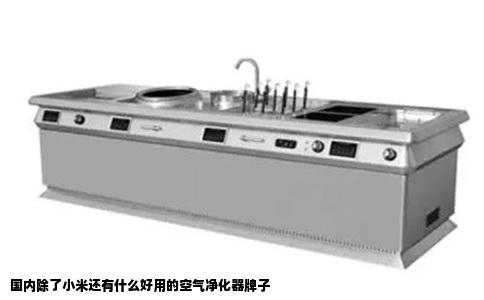 国内除了小米还有什么好用的空气净化器牌子