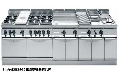 3m净水器2500主滤芯机头有几种