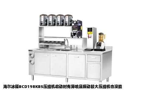 海尔冰箱BCD198KBS压缩机启动时有异响且振动较大压缩机也没能