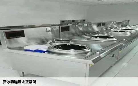新冰箱噪音大正常吗