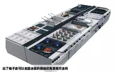 出了柚子皮可以去除冰箱的异味还有其他方法吗