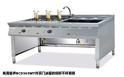 有用容声BCD565WY对开门冰箱的吗好不好看啊