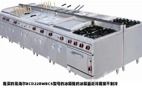 我买的是海尔BCD228WBCS型号的冰箱我的冰箱最近冷藏室不制冷