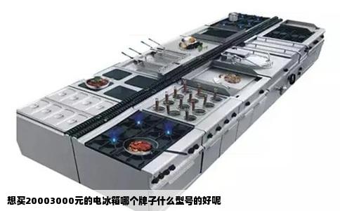 想买20003000元的电冰箱哪个牌子什么型号的好呢