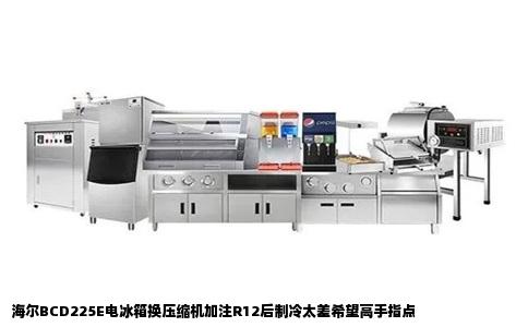 海尔BCD225E电冰箱换压缩机加注R12后制冷太差希望高手指点