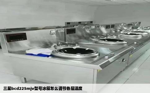 三星bcd225mjv型号冰箱怎么调节各层温度