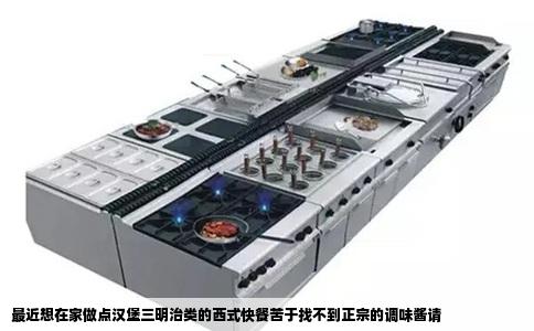 最近想在家做点汉堡三明治类的西式快餐苦于找不到正宗的调味酱请