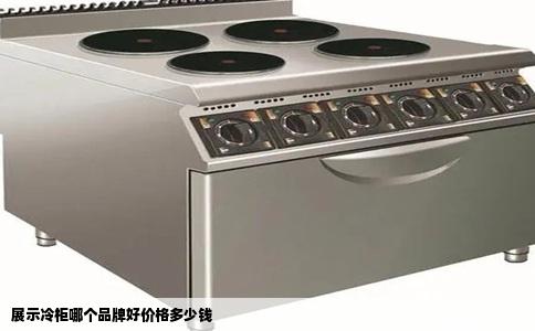 展示冷柜哪个品牌好价格多少钱