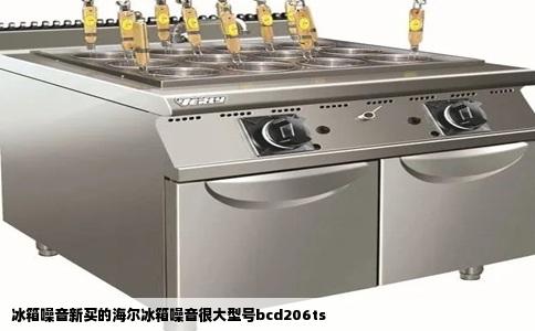 冰箱噪音新买的海尔冰箱噪音很大型号bcd206ts