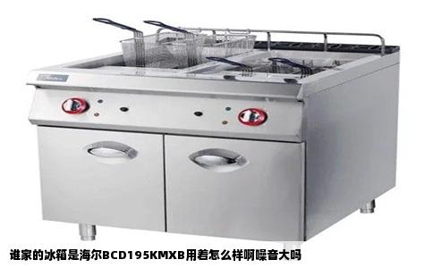 谁家的冰箱是海尔BCD195KMXB用着怎么样啊噪音大吗