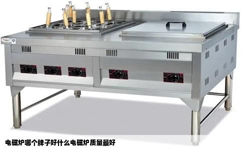 电磁炉哪个牌子好什么电磁炉质量最好
