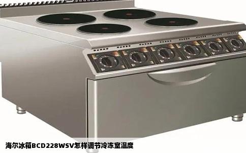 海尔冰箱BCD228WSV怎样调节冷冻室温度