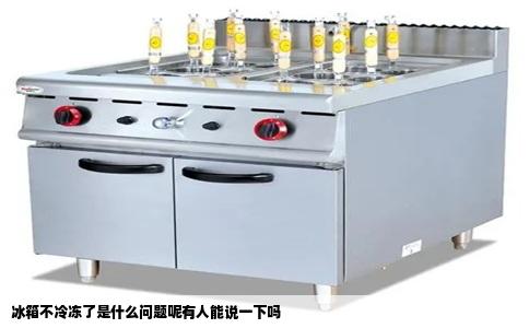冰箱不冷冻了是什么问题呢有人能说一下吗