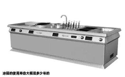 冰箱的使用寿命大概是多少年的