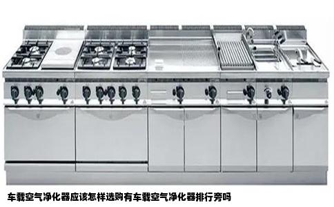 车载空气净化器应该怎样选购有车载空气净化器排行旁吗