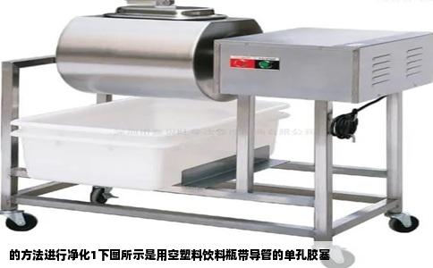 的方法进行净化1下图所示是用空塑料饮料瓶带导管的单孔胶塞