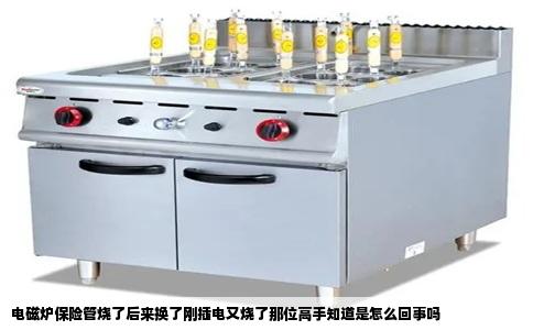 电磁炉保险管烧了后来换了刚插电又烧了那位高手知道是怎么回事吗