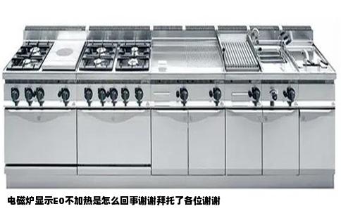 电磁炉显示E0不加热是怎么回事谢谢拜托了各位谢谢