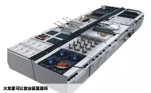 火龙果可以放冰箱里面吗