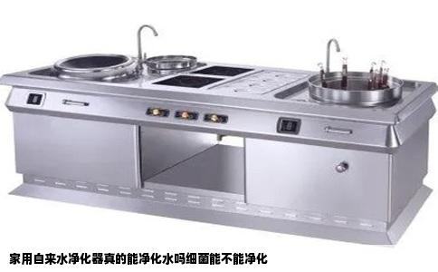 家用自来水净化器真的能净化水吗细菌能不能净化