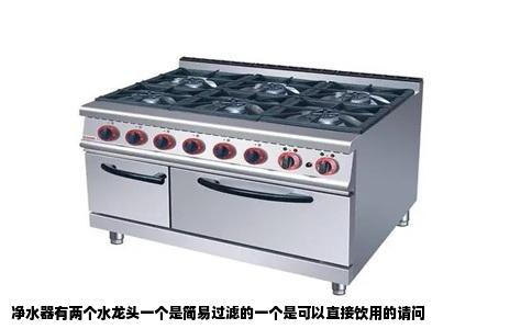 净水器有两个水龙头一个是简易过滤的一个是可以直接饮用的请问