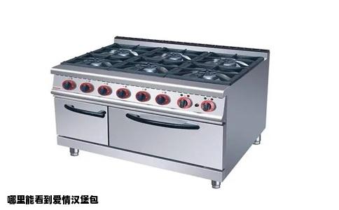 哪里能看到爱情汉堡包