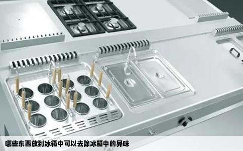 哪些东西放到冰箱中可以去除冰箱中的异味