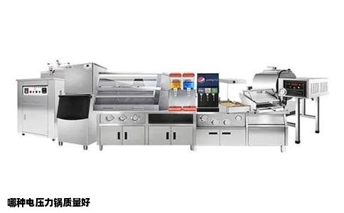 哪种电压力锅质量好