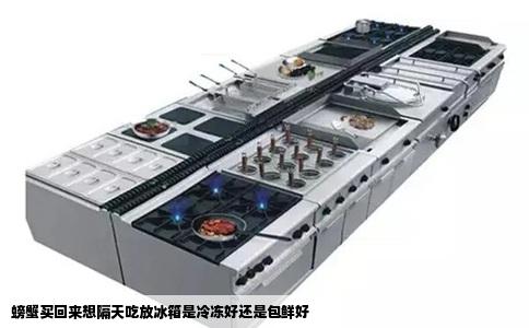 螃蟹买回来想隔天吃放冰箱是冷冻好还是包鲜好