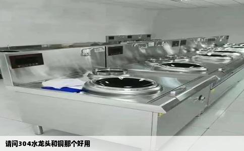 请问304水龙头和铜那个好用