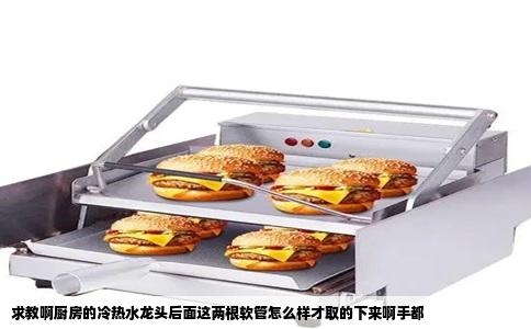 求教啊厨房的冷热水龙头后面这两根软管怎么样才取的下来啊手都