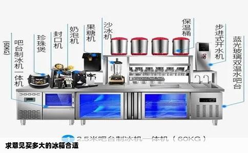 求意见买多大的冰箱合适