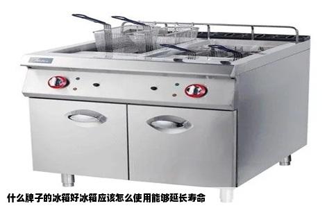 什么牌子的冰箱好冰箱应该怎么使用能够延长寿命