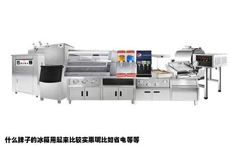 什么牌子的冰箱用起来比较实惠呢比如省电等等