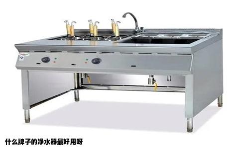 什么牌子的净水器最好用呀