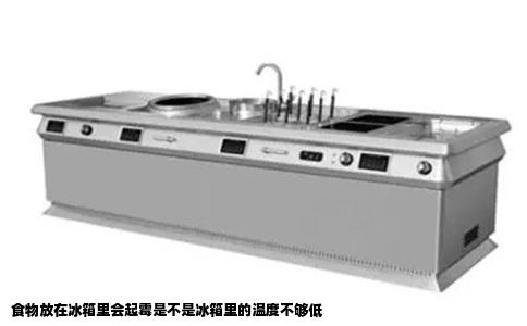 食物放在冰箱里会起霉是不是冰箱里的温度不够低