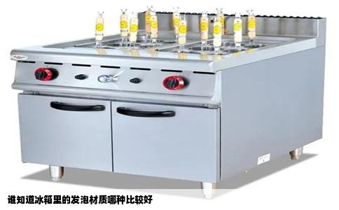 谁知道冰箱里的发泡材质哪种比较好