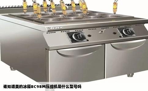 谁知道美的冰箱BC98M压缩机是什么型号吗